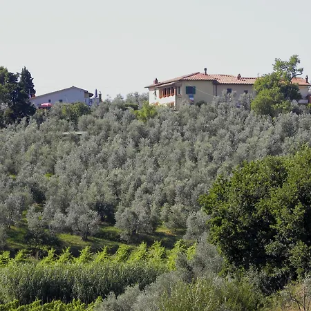 Agriturismo Podere Zollaio Vinci