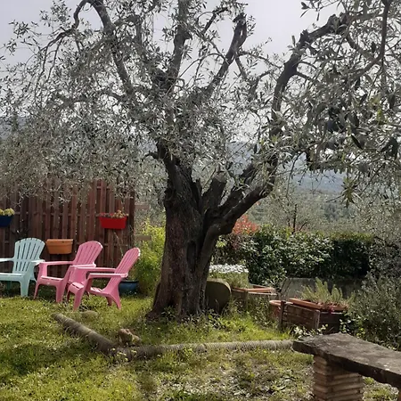Agriturismo Podere Zollaio *