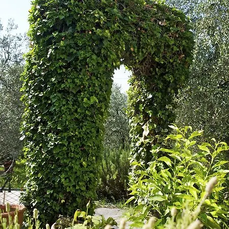 Agriturismo Podere Zollaio Country house Vinci