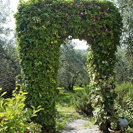 Agriturismo Podere Zollaio Country house Vinci